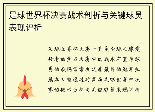 足球世界杯决赛战术剖析与关键球员表现评析